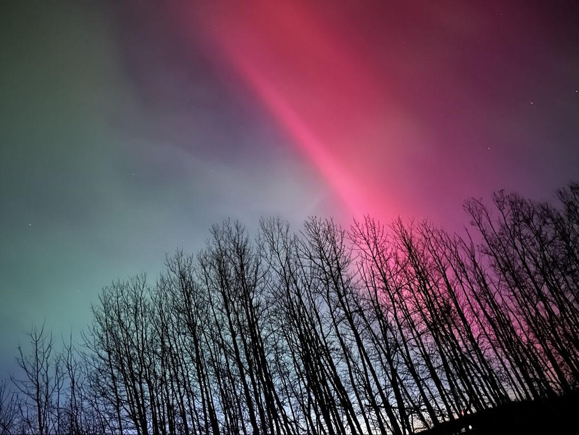 Red aurora band over the trees