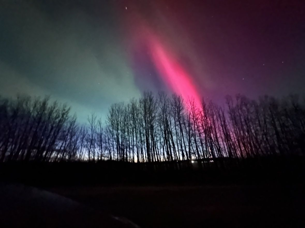 Red aurora over the trees