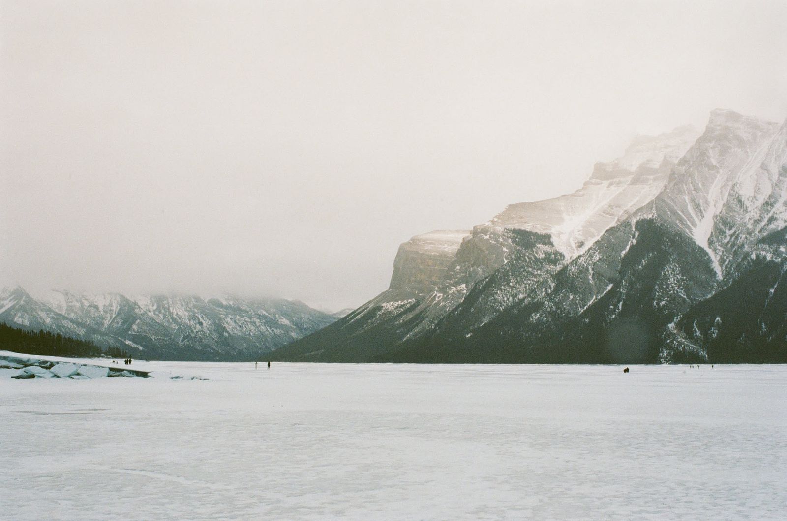 Film photo by Michael Saul