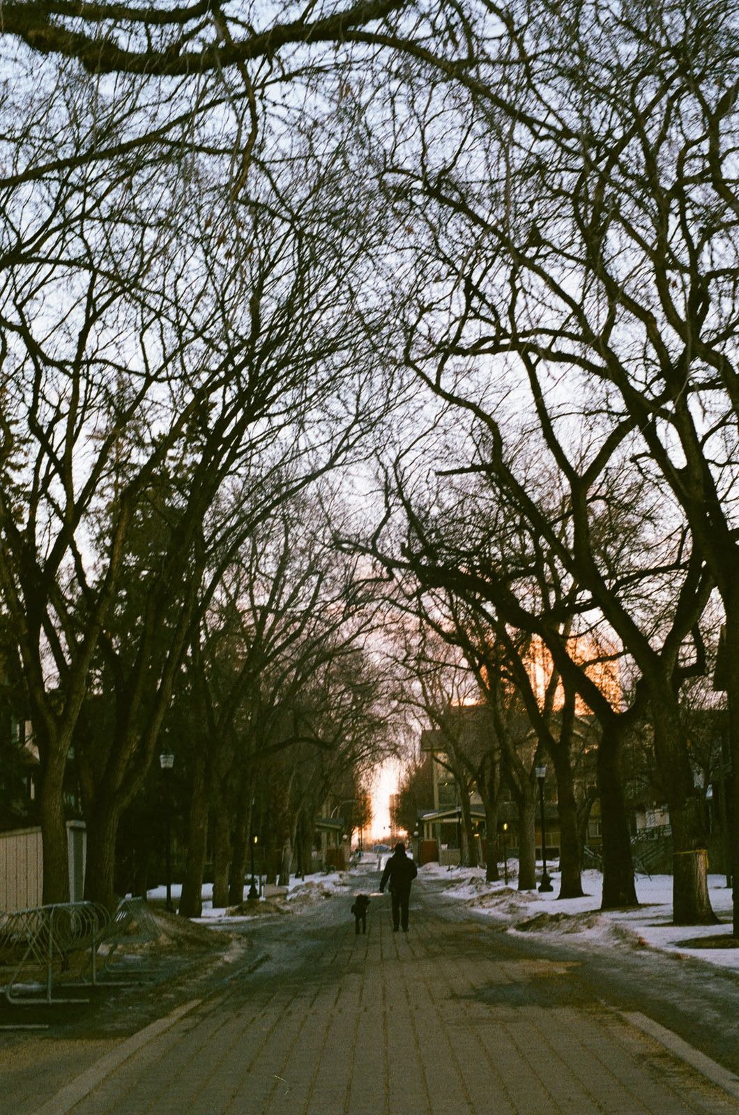 Film photo by Michael Saul