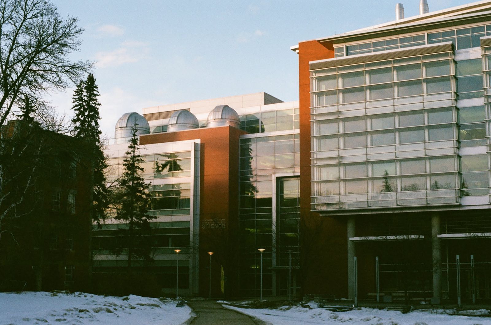 Film photo by Michael Saul