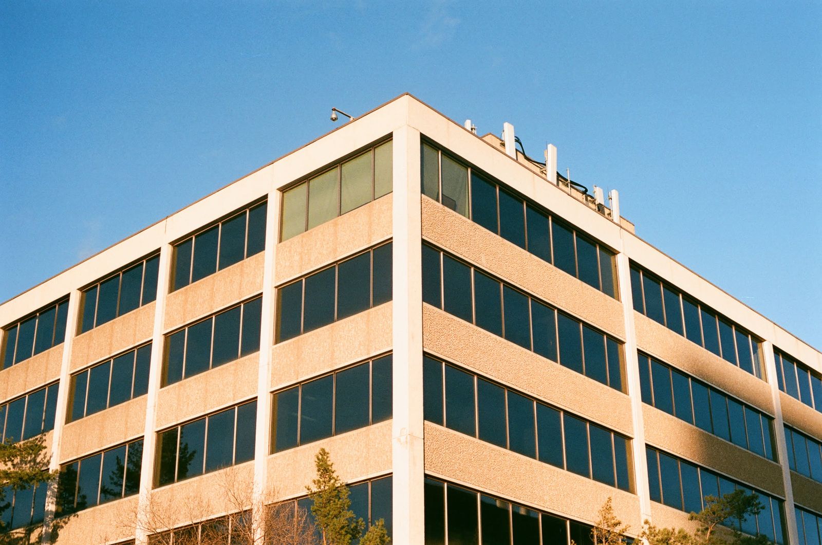 Film photo by Michael Saul