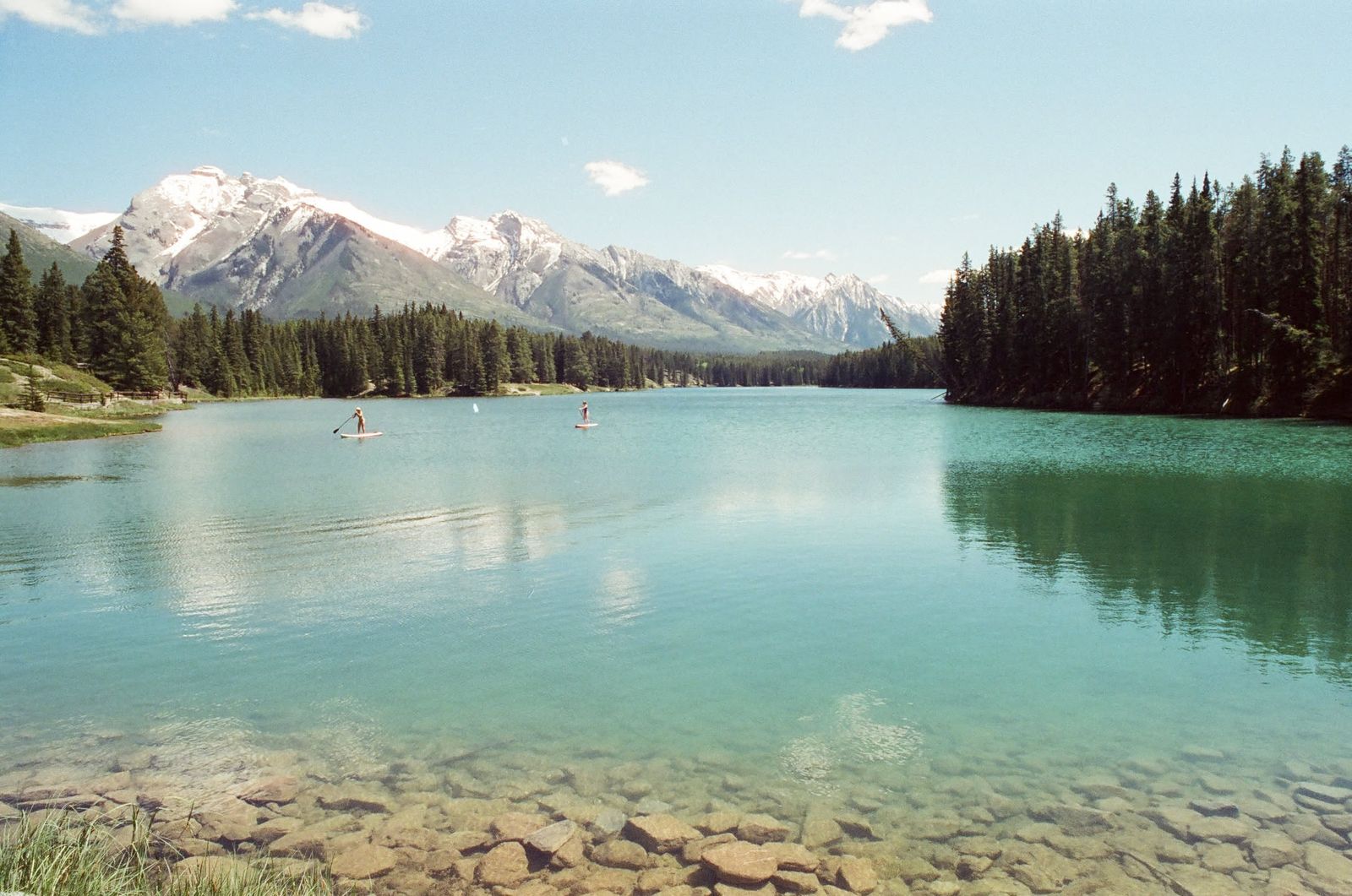 Film photo by Michael Saul